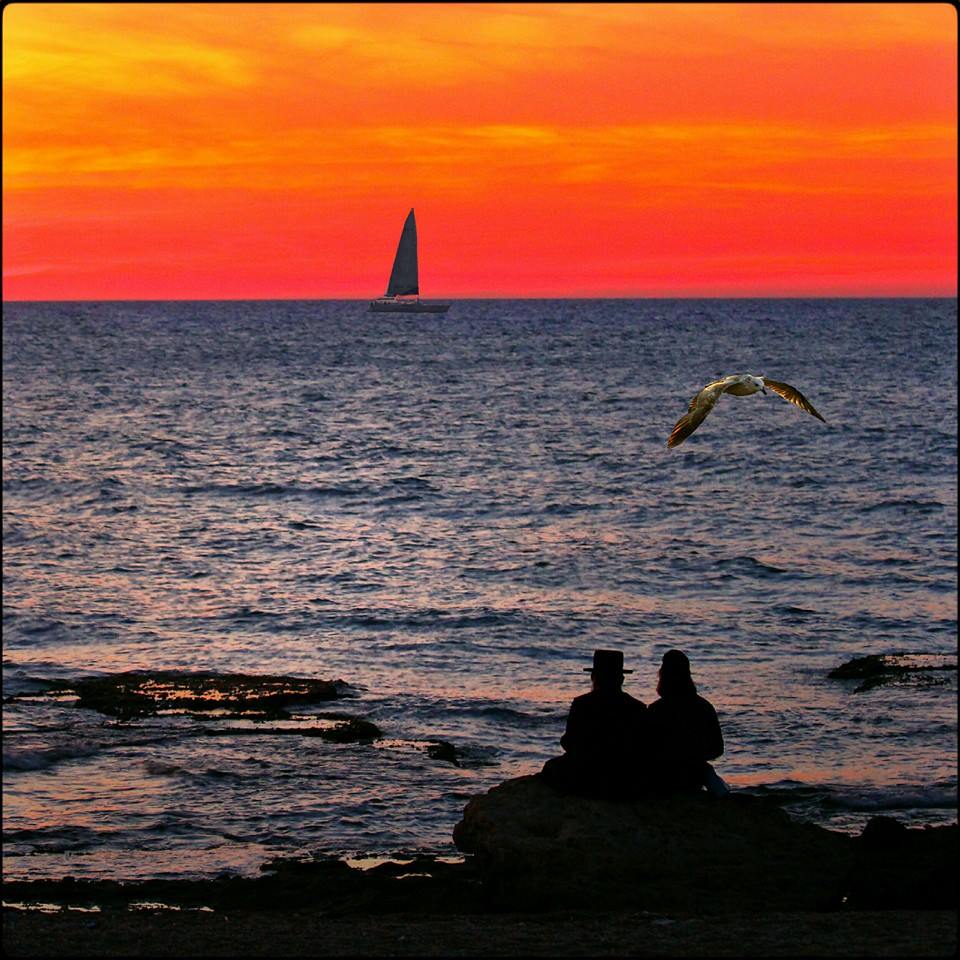 Haifa_Zakati (14)