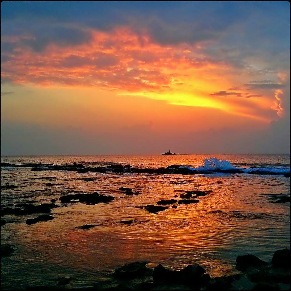 Haifa_Zakati (24)