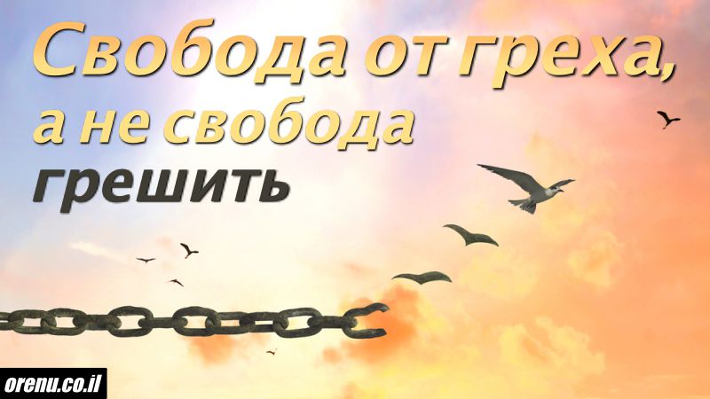 Свобода это рай картинки