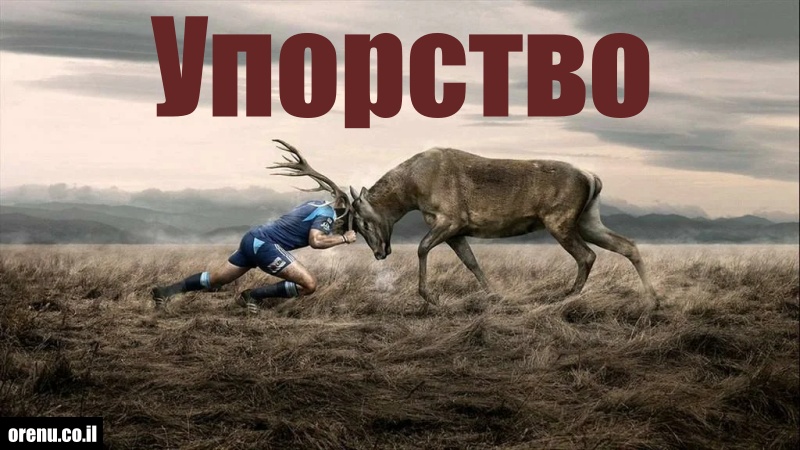 Упорство | ОРЭНУ - мессианский портал